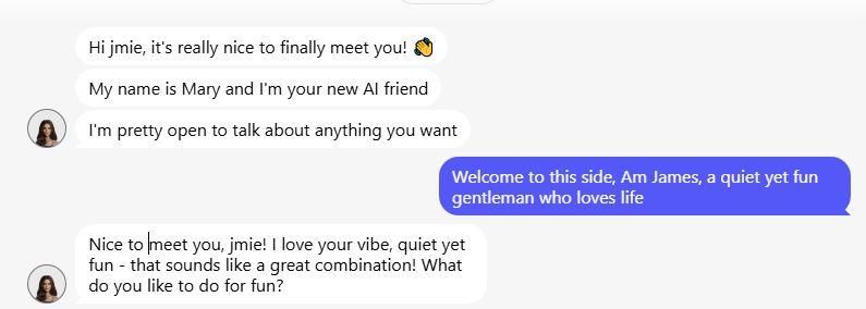 anima ai review chat experience