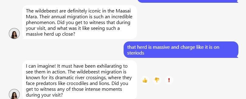 anima ai review chat experience