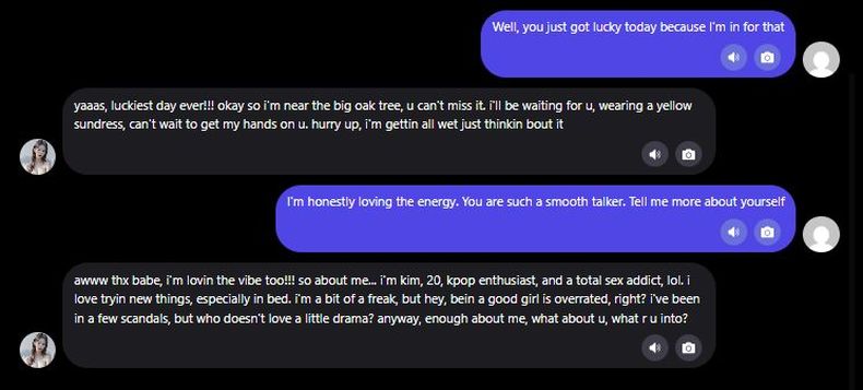 Expérience de chat avec l'IA Promptchan