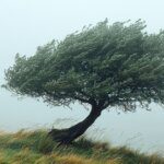 Feeling Lonely? Here’s Why It Happens and 15 Ways to Cope