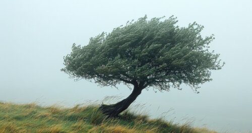 Feeling Lonely? Here’s Why It Happens and 15 Ways to Cope