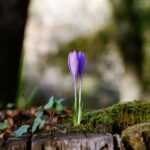 Nous n’avons pas qu’une crise de la solitude. Nous avons une crise de l’amitié