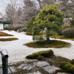 Le Japon se sent de plus en plus seul depuis 40 ans. Les données disent qui — et ce n’est pas qui vous croyez