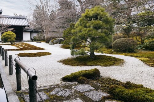 Japan wordt al 40 jaar eenzamer. De data laten zien wie – en dat is niet wie je denkt